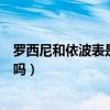 羅西尼和依波表是一家的嗎（依波金殿和依波手表是一回事嗎）
