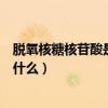 脫氧核糖核苷酸是什么的基本組成單位（脫氧核糖核苷酸是什么）