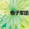 格子軍團是哪個國家隊（格子軍團）