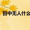目中無人什么意思啊（目中無人什么意思?）