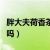 胖大夫荷香茶官網正品（胖大夫荷香茶是真的嗎）
