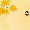 念的拼音（念氣環繞）