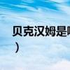 貝克漢姆是哪個國（貝克漢姆是哪個足球隊?）