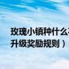 玫瑰小鎮種什么花升級快（玫瑰小鎮的花盆怎么升級?花盆升級獎勵規則）