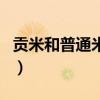 貢米和普通米的區別（貢米和米貢有什么區別）