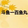 斗魚一百魚丸多少錢（斗魚一百魚丸多少錢）