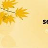 sens es（sens dll）