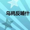 烏鴉反哺什么意思（烏鴉反哺什么意思）
