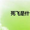 死飛是什么類型的車（死飛是什么）
