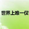 世界上唯一僅有的花歌詞（是花兒朵朵唱的）