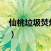 仙桃垃圾焚燒廠2020（仙桃垃圾焚燒發電廠）