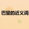 巴望的近義詞是什么二年級（巴望的近義詞）