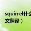 squirrel什么意思中文（squirrel什么意思中文翻譯）