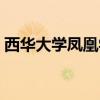 西華大學鳳凰學院幾本（西華大學鳳凰學院）