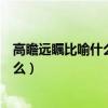 高瞻遠矚比喻什么生肖（高瞻遠矚猜一個生肖動物指的是什么）
