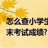 怎么查小學生期末考試分數（怎么查小學生期末考試成績?）
