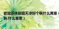 欲說還休卻道天涼好個秋什么寓意(欲說還休卻道天涼好個秋.什么意思)