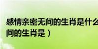 感情親密無間的生肖是什么生肖(感情親密無間的生肖是)