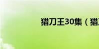 獵刀王30集(獵刀王)