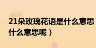21朵玫瑰花語是什么意思(21朵玫瑰花語是什么意思呢)