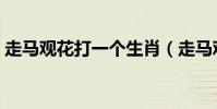 走馬觀花打一個生肖(走馬觀花打一個生肖)