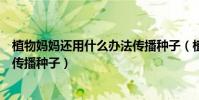 植物媽媽還用什么辦法傳播種子(植物媽媽還會用哪些辦法傳播種子)