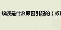 蟻族是什么原因引起的(蟻族是什么意思啊)