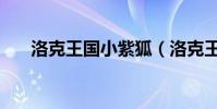 洛克王國小紫狐(洛克王國小荷練級)