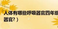 人體有哪些呼吸器官四年級(人體有哪些呼吸器官?)