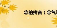 念的拼音(念氣環繞)