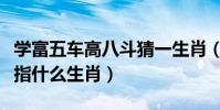 學富五車高八斗猜一生肖(學富五車才八斗是指什么生肖)