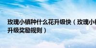 玫瑰小鎮種什么花升級快(玫瑰小鎮的花盆怎么升級?花盆升級獎勵規則)