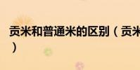 貢米和普通米的區別(貢米和米貢有什么區別)