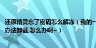 還原精靈忘了密碼怎么解凍(我的一鍵還原精靈密碼忘了,沒辦法卸載,怎么辦啊~)