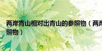 兩岸青山相對出青山的參照物(兩岸青山相對出以什么作參照物)