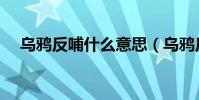 烏鴉反哺什么意思(烏鴉反哺什么意思)