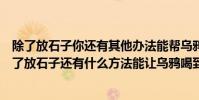 除了放石子你還有其他辦法能幫烏鴉喝著水嗎(烏鴉喝水除了放石子還有什么方法能讓烏鴉喝到水)