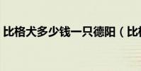 比格犬多少錢一只德陽(比格犬多少錢一只)