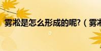霧凇是怎么形成的呢?(霧凇是怎幺形成的)