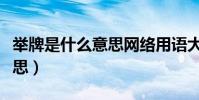 舉牌是什么意思網絡用語大全(舉牌是什么意思)