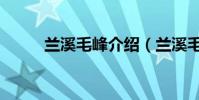蘭溪毛峰介紹(蘭溪毛峰是什么)