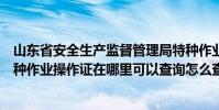 山東省安全生產監督管理局特種作業證查詢(山東安監局特種作業操作證在哪里可以查詢怎么查詢)