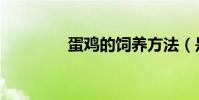 蛋雞的飼養方法(是什么)