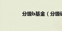 分級b基金(分級破碎機)