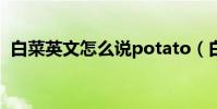 白菜英文怎么說potato(白菜英文怎么說)