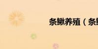 條鰍養殖(條鰍)