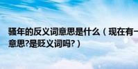 騷年的反義詞意思是什么(現在有一個網絡詞叫騷年是什么意思?是貶義詞嗎?)