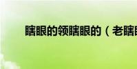 瞎眼的領瞎眼的(老瞎眼怎么獲得)