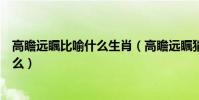 高瞻遠矚比喻什么生肖(高瞻遠矚猜一個生肖動物指的是什么)