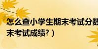 怎么查小學生期末考試分數(怎么查小學生期末考試成績?)
